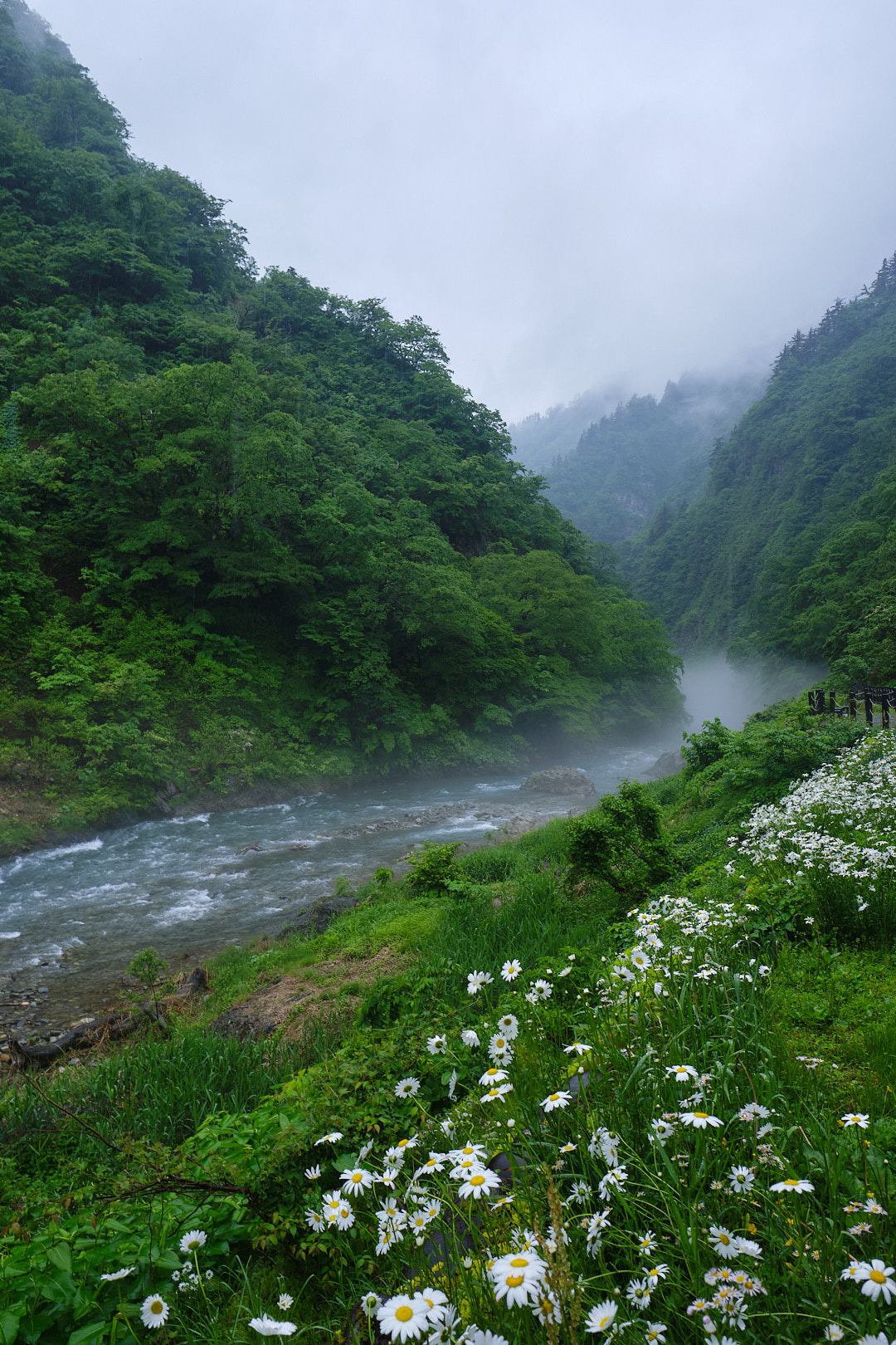Kiyotsu Gorge